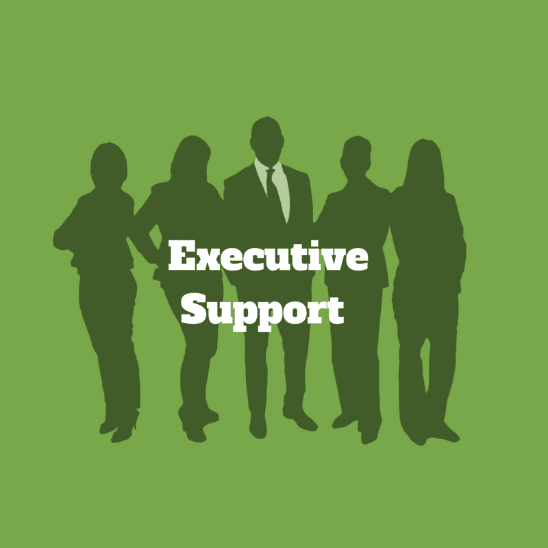executive support green